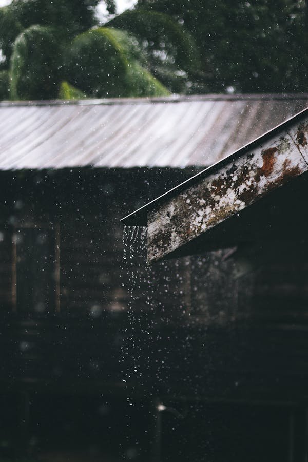 Récupérateur d'eau de pluie : êtes-vous prêt à faire le saut ?